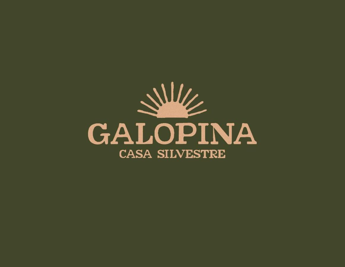 Seye Galopina Bed & Breakfast エクステリア 写真